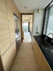 Hana (D10), Condominium #516715121